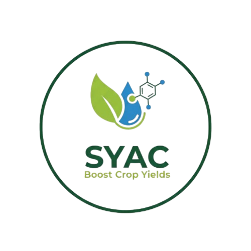 Syac Group