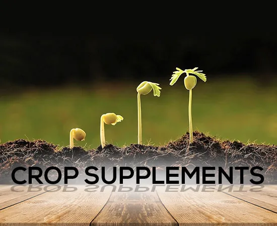 Crop Supplements Pakistan – Boost Crop Growth