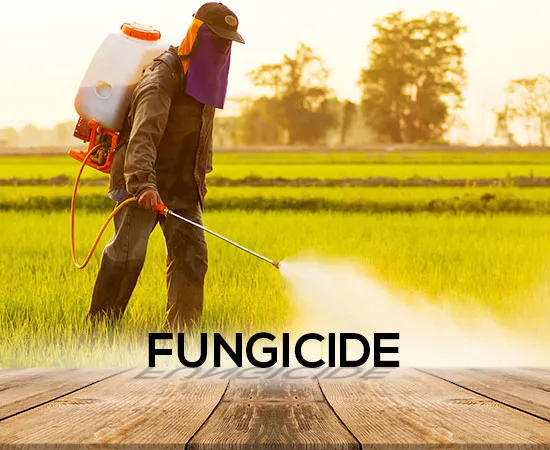 Fungicides Pakistan – Crop Disease Control