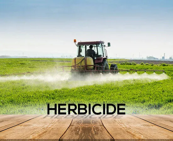 Herbicides Pakistan – Weed Control