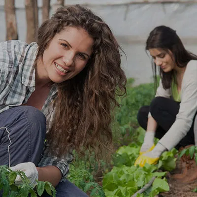 Achieving Together – Sayban values