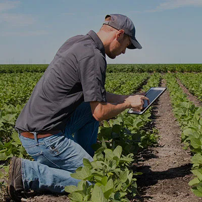 Continuous Innovation – SYAC